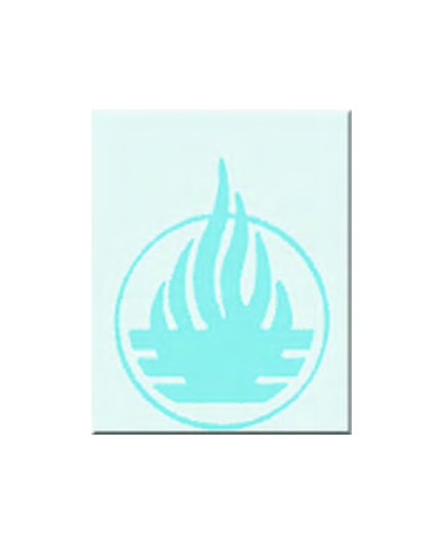 Avesta, The Sacred Books of The Parsis