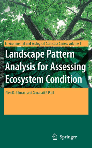 Landscape Pattern Analysis for Assessing Ecosystem Condition (Environmental and Ecological Statistics)