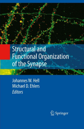 Structural and Functional Organization of the Synapse