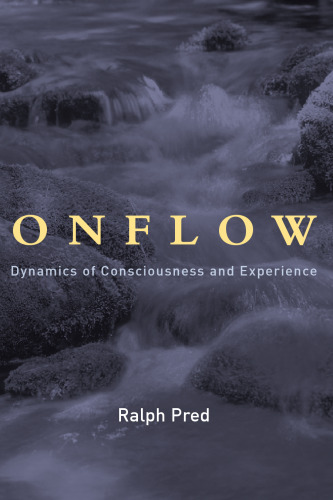 Onflow: Dynamics of Consciousness and Experience