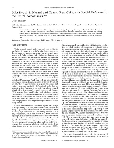 DNA Repair in Normal and Cancer Stem Cells, with Special Reference tothe Central Nervous System (Article)