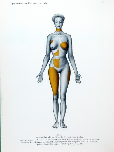 Atlas of Topographical and Applied Human Anatomy, Vol. 2: Thorax, Abdomen and Extremities (v. 2)