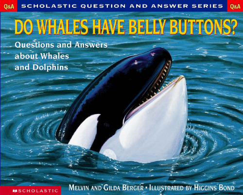 Scholastic Q & A: Do Whales Have Belly Buttons? (Scholastic Question & Answer)