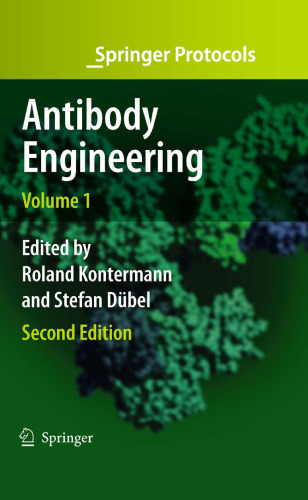 Antibody Engineering