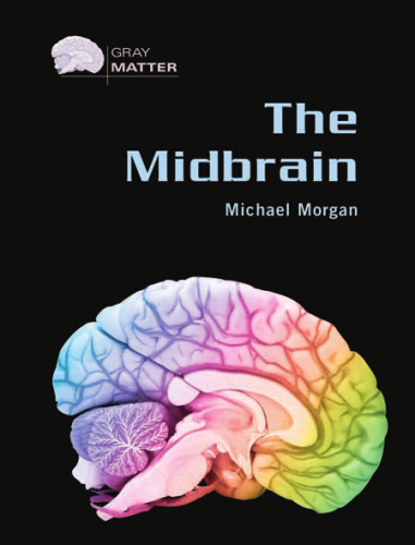 The Midbrain (Gray Matter)