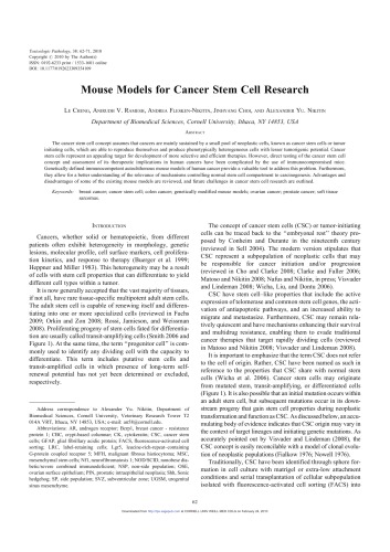 Mouse Models for Cancer Stem Cell Research (Article)