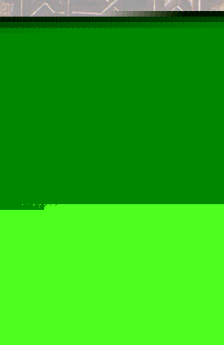 Power in the Portrayal: Representations of Jews and Muslims in Eleventh- and Twelfth-Century Islamic Spain.