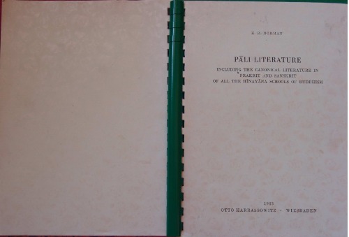 Pali literature: Including the canonical literature in Prakrit and Sanskrit of all the Hinayana schools of Buddhism (A history of Indian literature)