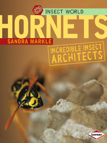 Hornets: Incredible Insect Architects (Insect World)