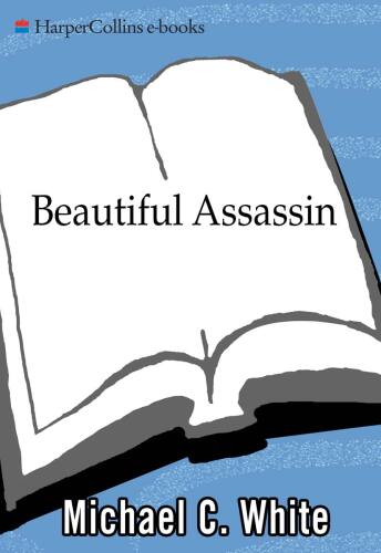 Beautiful Assassin: A Novel