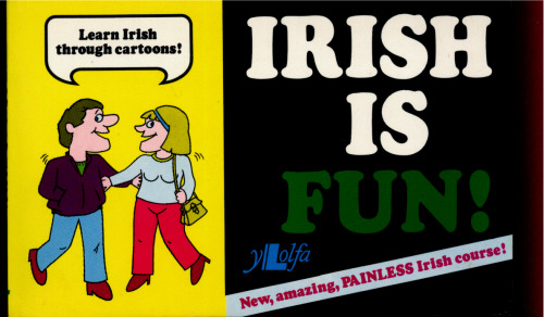 Irish Is Fun!: A New Course for the Beginner