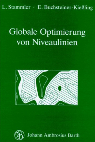 Globale Optimierung von Niveaulinien. Geometrische und algebraische Fundierung und Algorithmen