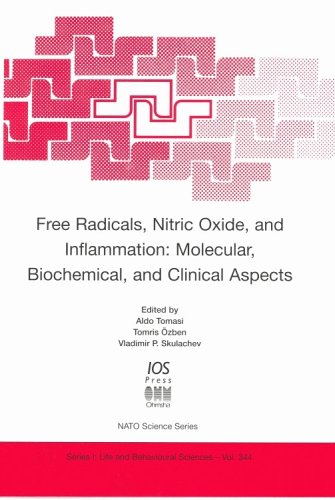 Free Radicals, Nitric Oxide and Inflammation: Molecular, Biochemical, and Clinical Aspects (NATO: Life and Behavioural Sciences, 344)