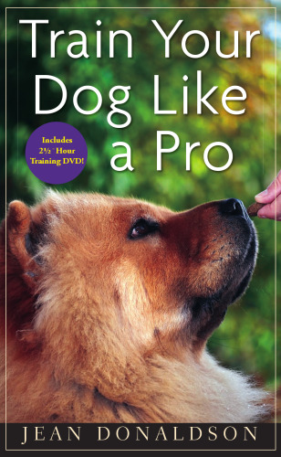 Train Your Dog Like a Pro