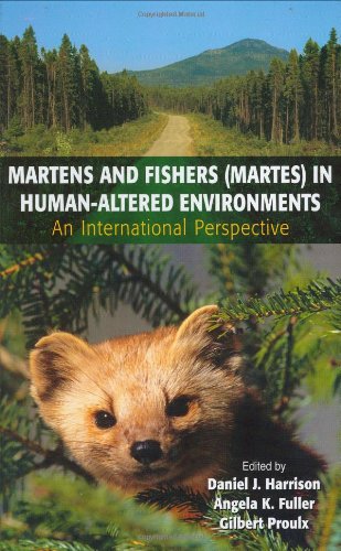 Martens and Fishers (Martes) in Human-Altered Environments: An International Perspective