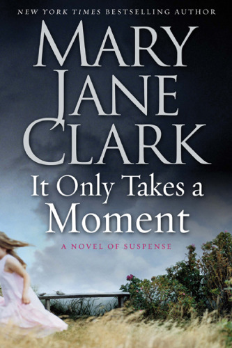 It Only Takes a Moment: A Novel of Suspense