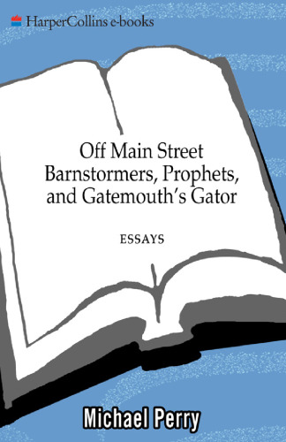 Off Main Street: Barnstormers, Prophets & Gatemouth's Gator: Essays