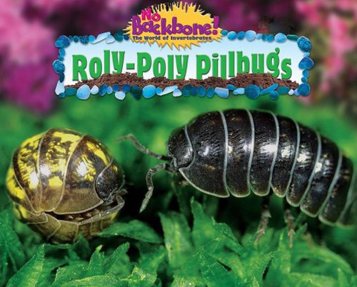 Roly-Poly Pillbugs (No Backbone! the World of Invertebrates)