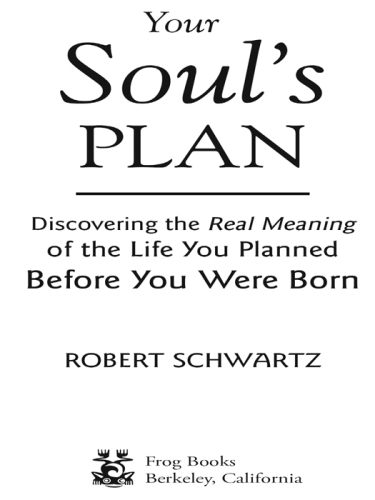 Your Soul's Plan: Discovering the Real Meaning of the Life You Planned Before You Were Born