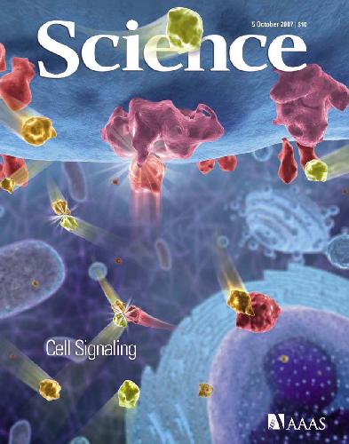 Science (5 October, 2007)