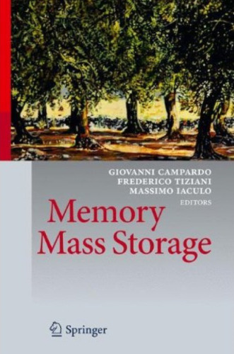 Memory Mass Storage