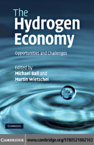 The Hydrogen Economy