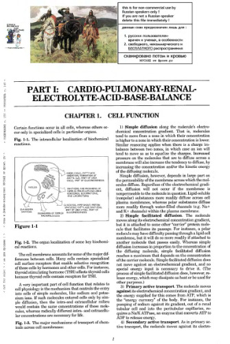 Clinical physiology made ridiculously simple