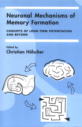 Neuronal mechanisms of memory formation