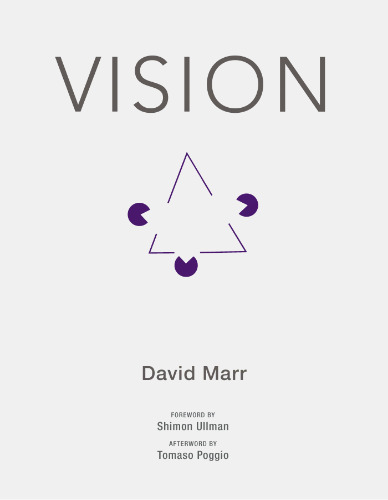 Vision: A computational investigation