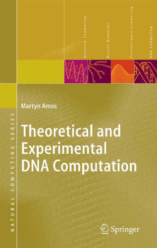 Theoretical and Experimental DNA Computation