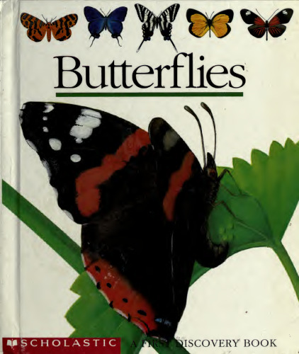 The Butterfly (First Discovery Series)