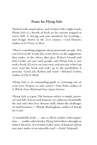 Flying Solo: How to Go It Alone in Business