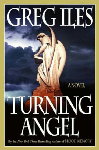Turning Angel