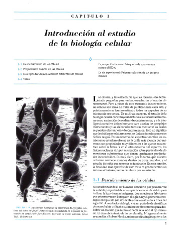 Biologia Celular y Molecular: Conceptos y Experimentos 4ta Edicion