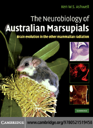 The Neurobiology of Australian Marsupials: Brain Evolution in the Other Mammalian Radiation