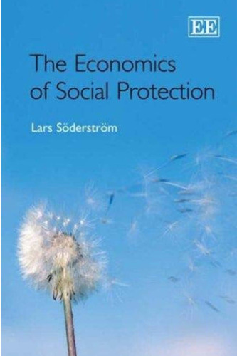 The Economics of Social Protection