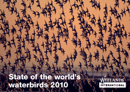 State of the World’s Waterbirds 2010
