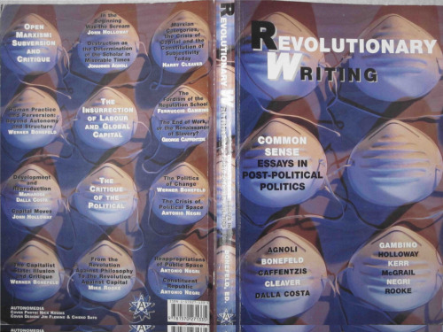 Revolutionary Writing: Common Sense Essays in Post-Political Politics