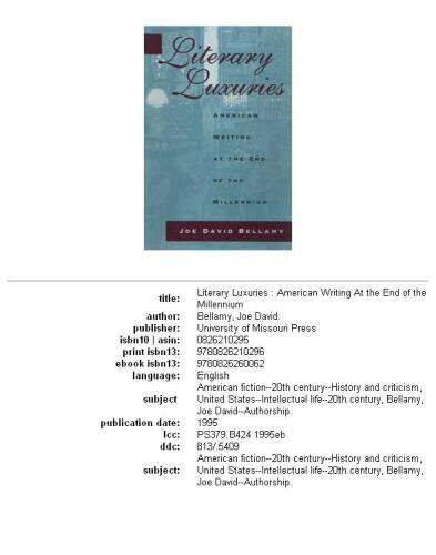 Literary Luxuries: American Writing at the End of the Millennium