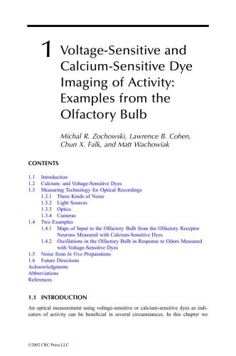 In Vivo Optical Imaging of Brain Function