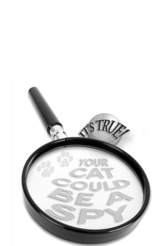 It's True! Your Cat Could Be a Spy