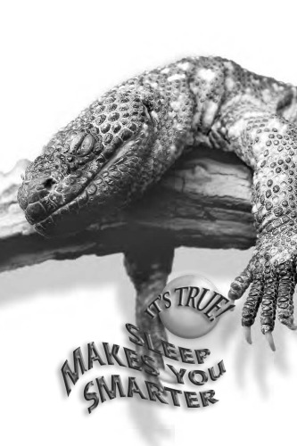 It's True! Sleep Makes You Smarter (It's True!) (It's True!)