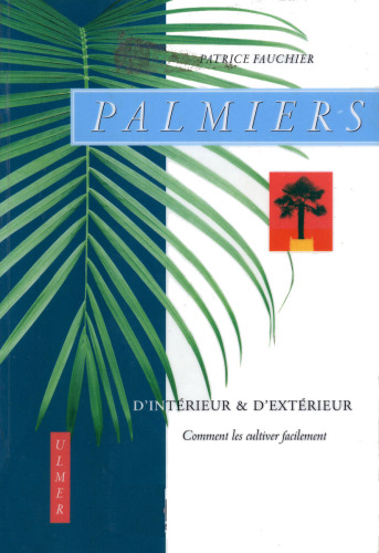 Palmiers d'intérieur et d'extérieur : comment les cultiver facilement