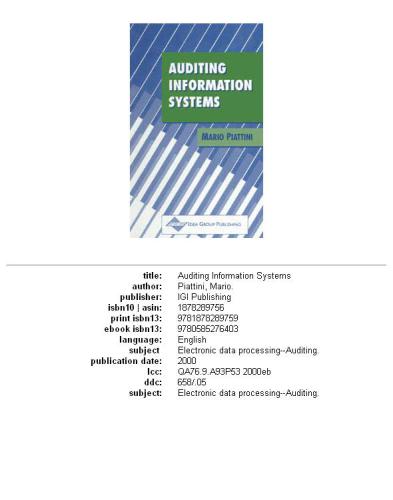 Auditing Information Systems