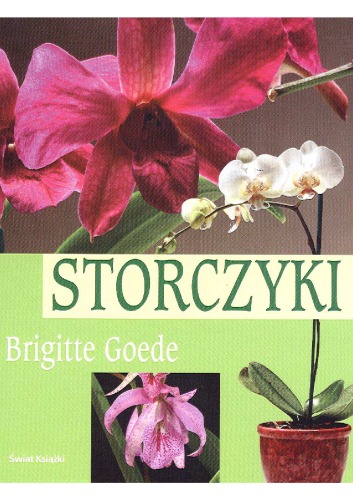 Storczyki