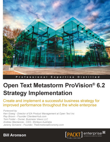 Metastorm ProVision 6.2 Strategy Implementation