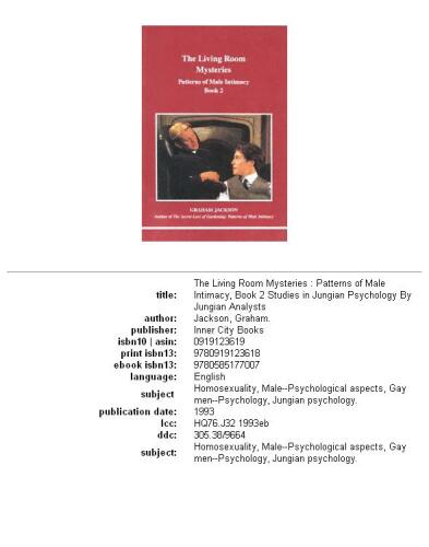 The Living Room Mysteries: Patterns of Male Intimacy : Book 2 (Studies in Jungian Psychology By Jungian Analysts)