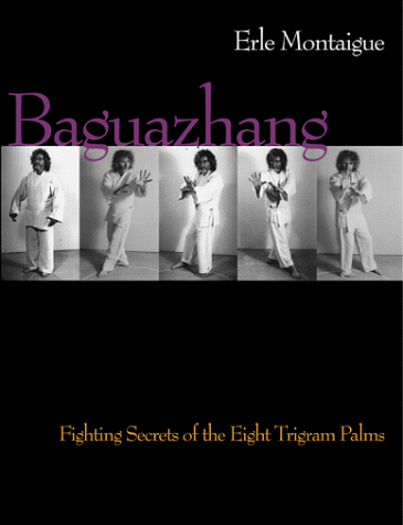 Baguazhang  Martial Arts   Self Defense