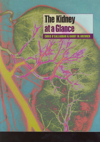 The Kidney at a Glance