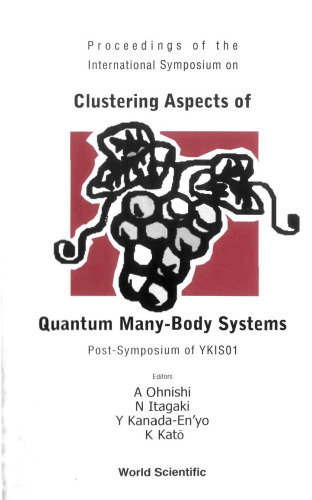 Clustering Aspects of Quantum Many-Body Systems